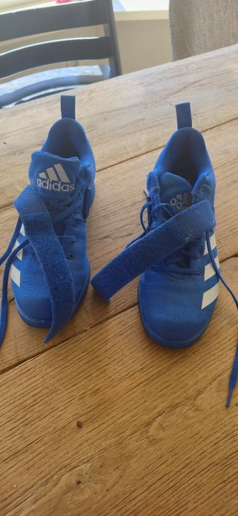 Adidas Adipower 4.0 Powerlift Schoenen Maat 44, Ophalen of Verzenden, Zo goed als nieuw, Overige typen