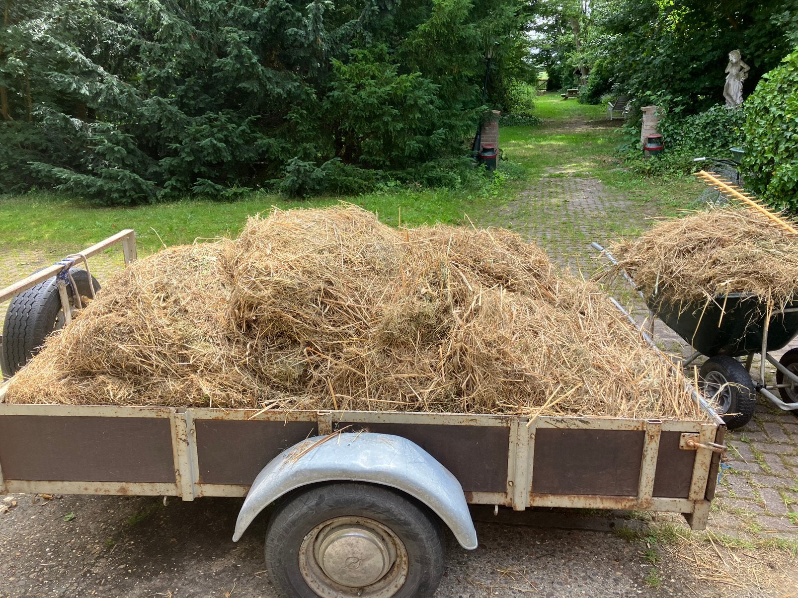 Gratis stro hooi 3 m3, Dieren en Toebehoren, Dierenvoeding, Ophalen, Vee