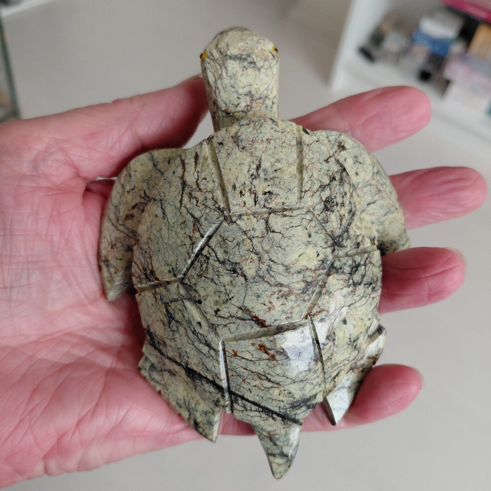 Serpentijn schildpad, Ophalen of Verzenden, Mineraal