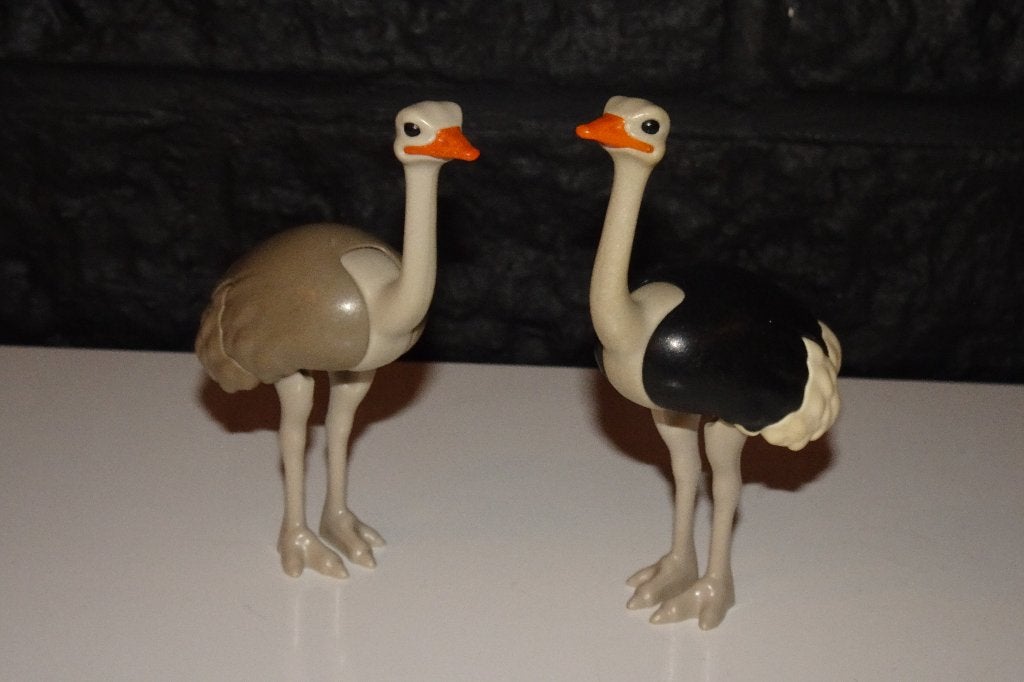 05 - Dieren struisvogels 4831, Kinderen en Baby's, Speelgoed | Playmobil, Ophalen of Verzenden