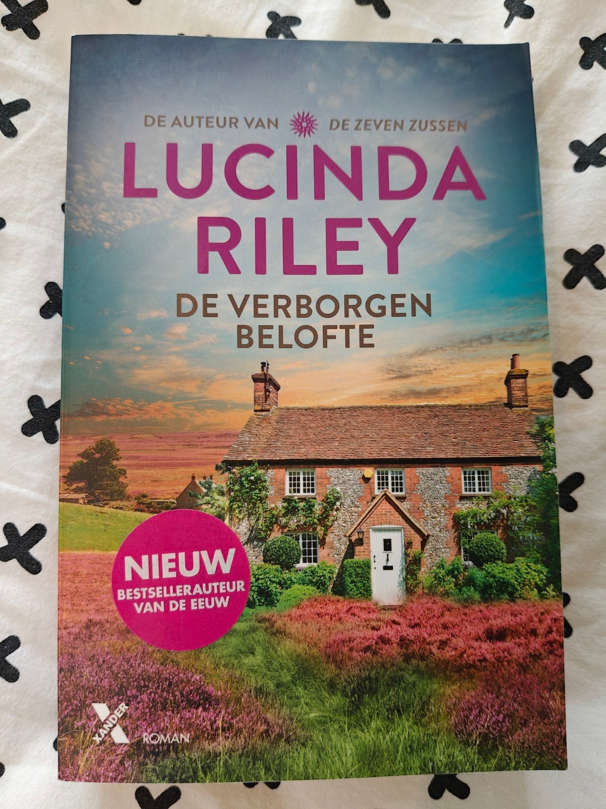 boek: De verborgen belofte, Lucinda Riley, Ophalen of Verzenden, Zo goed als nieuw, Lucinda Riley