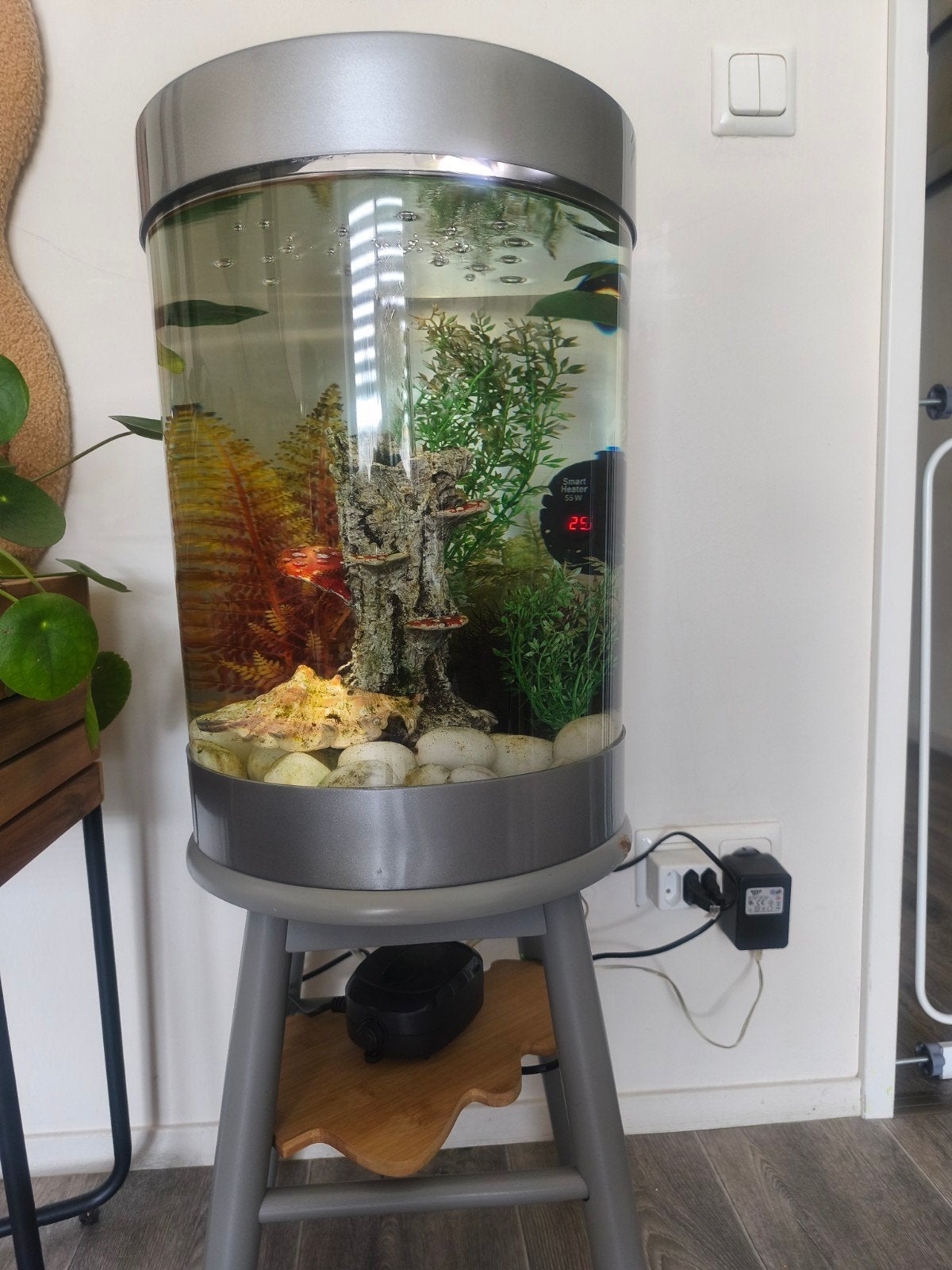 Biorb aquarium compleet 35ltr, Ophalen of Verzenden, Verwarming, Gebruikt, Gevuld zoetwateraquarium