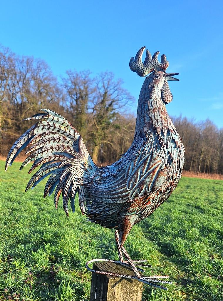 Metalen haan tuinbeeld, Tuin en Terras, Tuinbeelden, Verzenden, Nieuw, Metaal, Dierenbeeld
