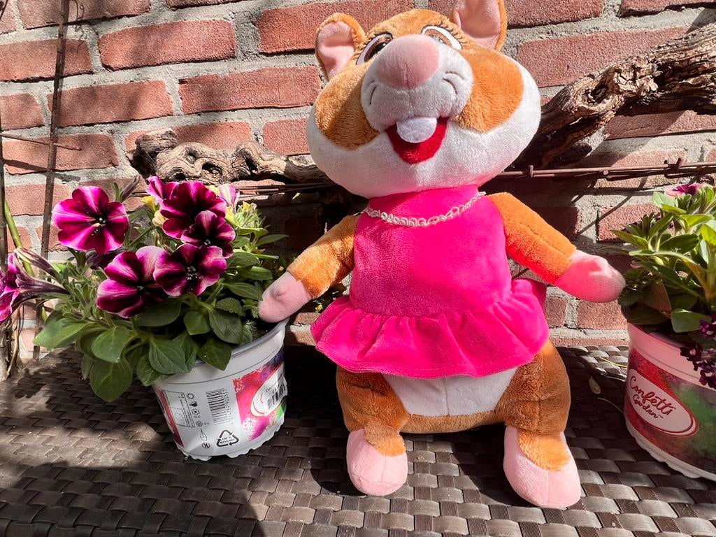 Grote Albert Heijn Hamster, Ophalen of Verzenden, Zo goed als nieuw, Overige typen
