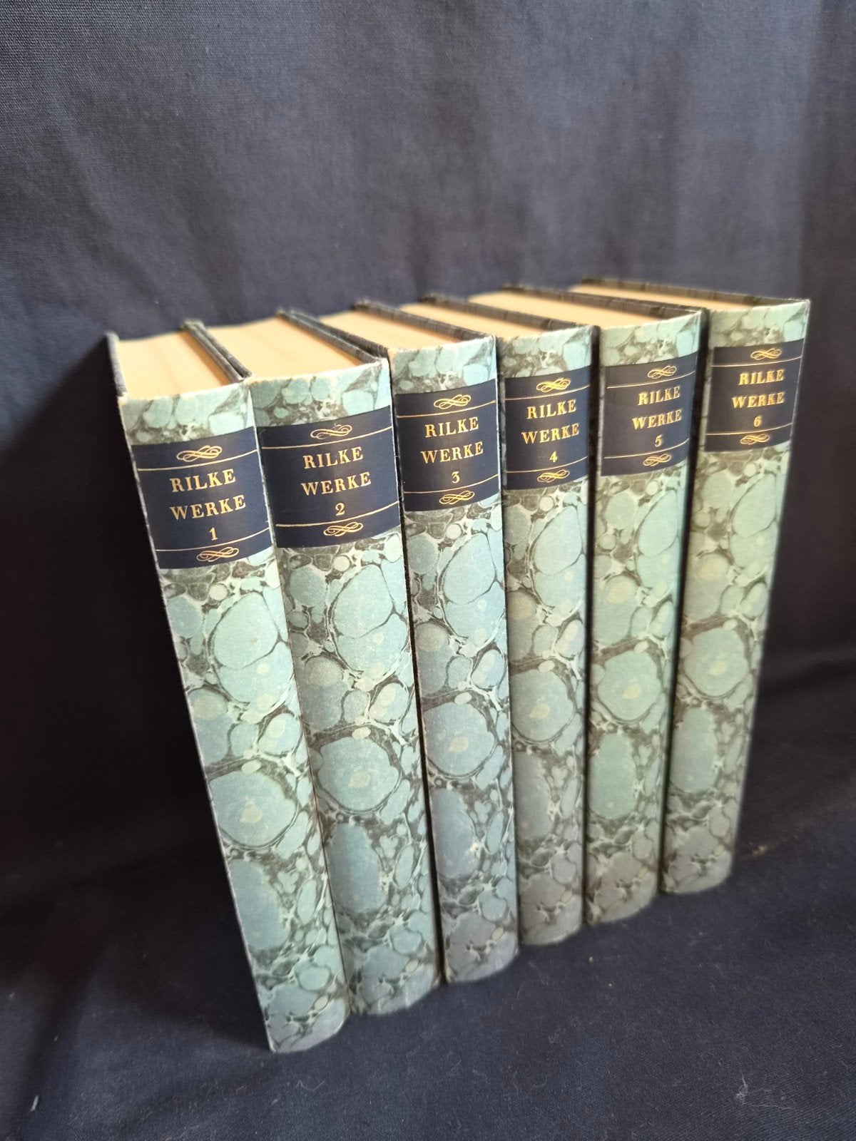 Rilke Werke - Complete set (6 volumes), Boeken, Ophalen, Zo goed als nieuw, Rainer Maria Rilke, Europa overig