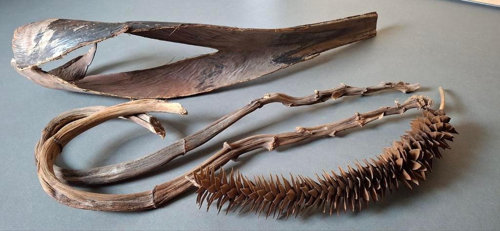 Decoratieve takken voor interieur, Ophalen of Verzenden, Zo goed als nieuw, Bruin, Hout