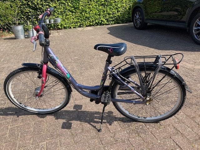 Meisjesfiets Batavus, Ophalen, Velgrem, Versnellingen, Batavus