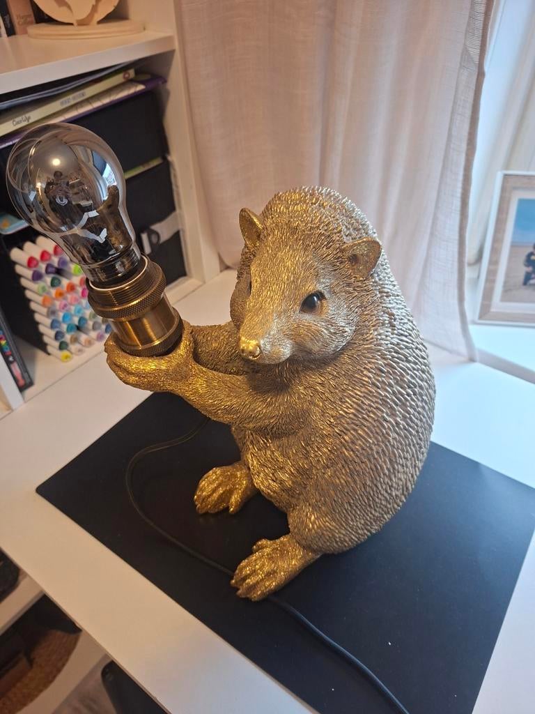 Egel lamp, Ophalen of Verzenden, Minder dan 50 cm