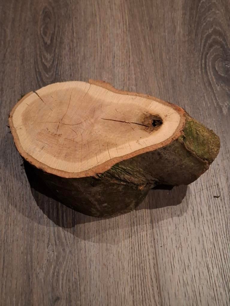 Houten decoratie stronk, Verzenden, Nieuw, Rond, Hout