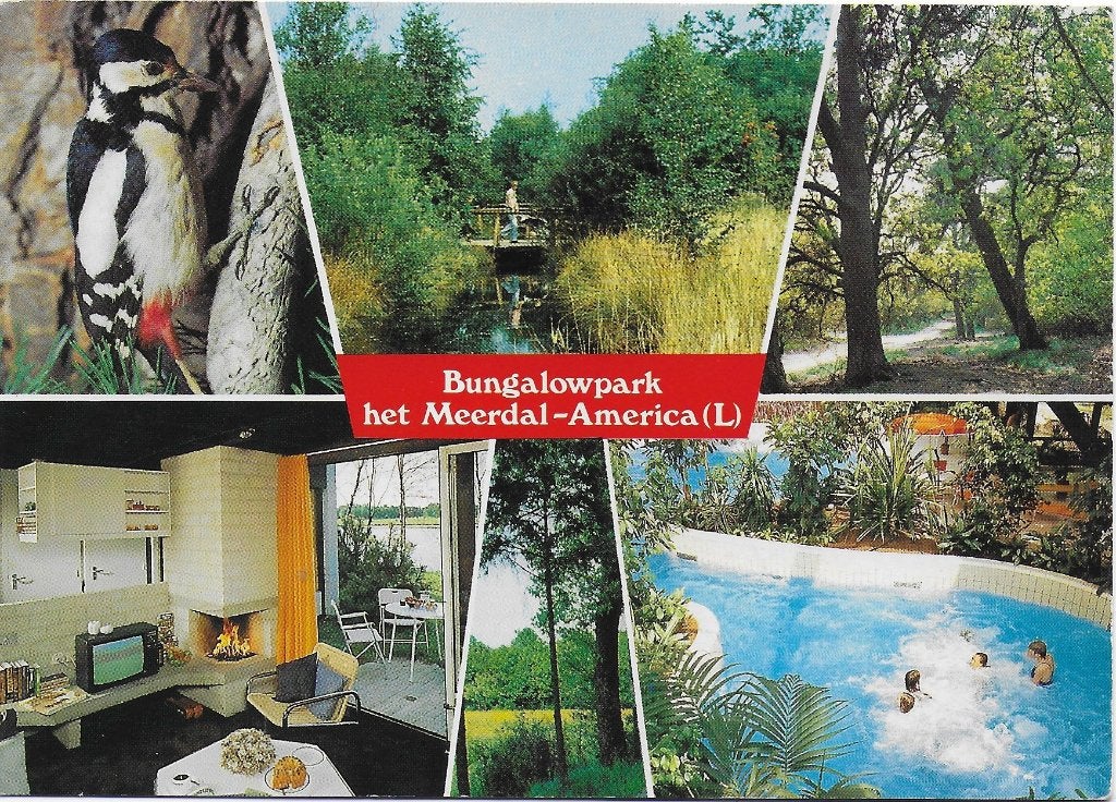 America Bungalowpark Het Meerdal Ansichtkaart ( B5267), Ophalen of Verzenden, 1980 tot heden, Gelopen, Limburg