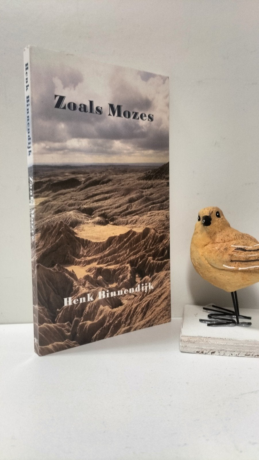 Binnendijk, Henk; Zoals Mozes, Ophalen of Verzenden, Gelezen, Christendom | Protestants