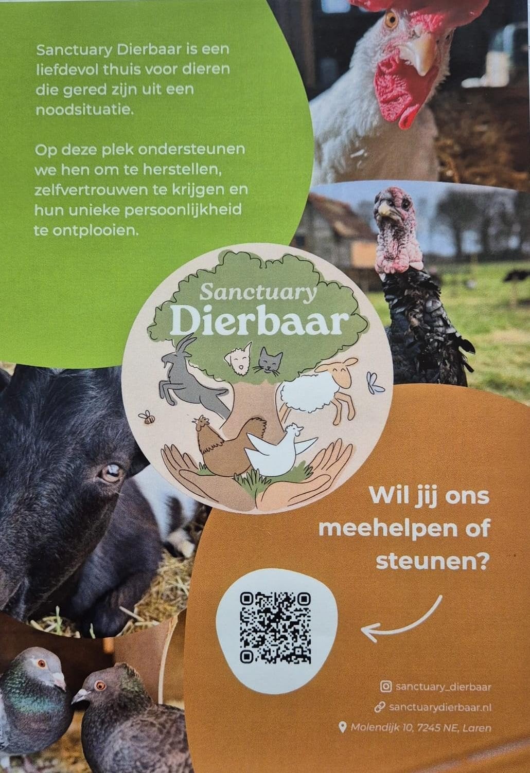 Knuffels gezocht, Kinderen en Baby's, Ophalen, Zo goed als nieuw, Overige typen