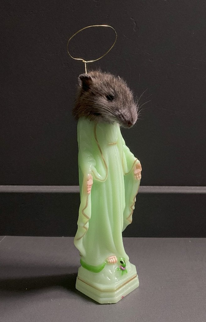 Rat Cheesus taxidermie, Verzamelen, Ophalen of Verzenden, Opgezet dier