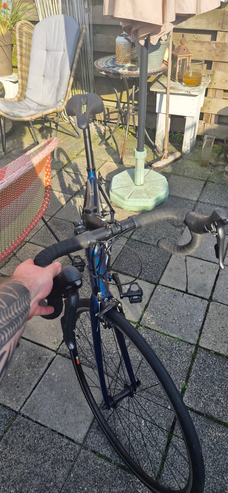 Racefiets Trek Domane AL 2 2024 maat 56, Fietsen en Brommers, 28 inch, Gebruikt, 10 tot 15 versnellingen, Aluminium