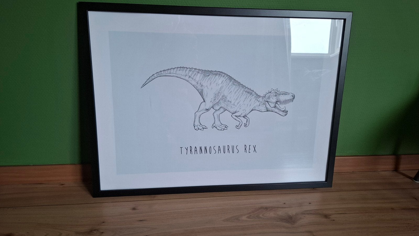 2 Grote Dinosaurus Posters in Lijst - T-Rex & Stegosaurus, Ophalen, 50 – 75, Gebruikt, 75 tot 100 cm