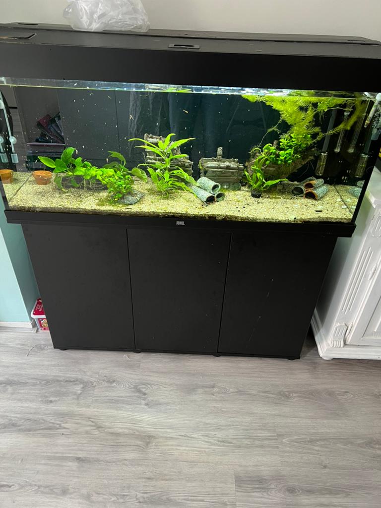 Juwel aquaria rio 240 l, Dieren en Toebehoren, Vissen | Aquaria en Toebehoren, Ophalen, Verwarming, Zo goed als nieuw, Leeg aquarium