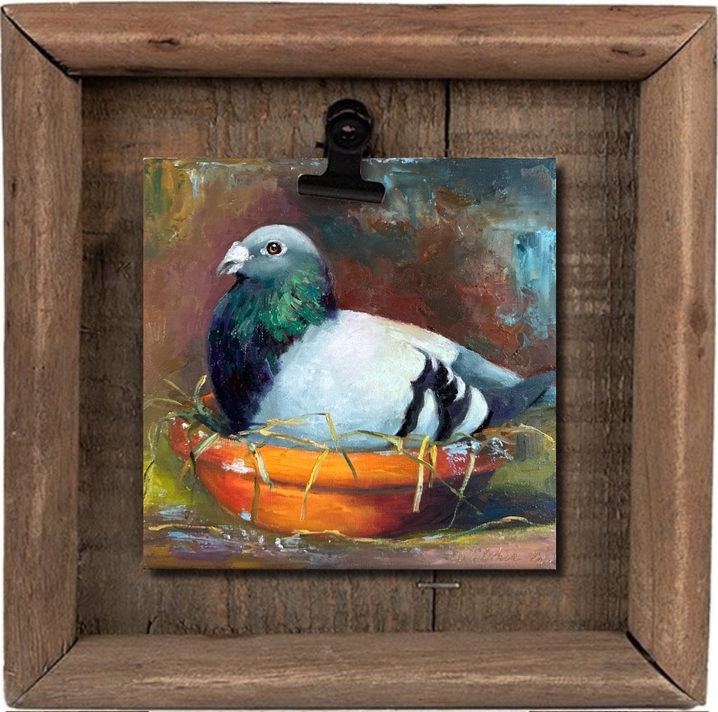 Olieverf schilderijen: Duif in de nest 2, Minder dan 50 cm, Oorspronkelijke maker, Verzenden, Nieuw