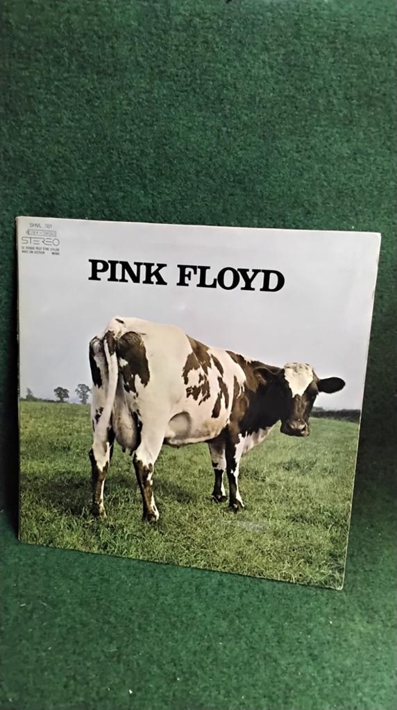 PINK FLOYD, Ophalen of Verzenden, Gebruikt, 12 inch, Progressive