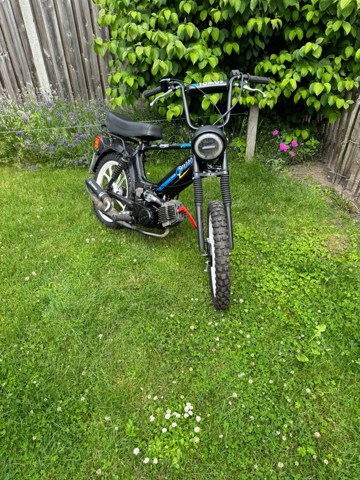 Tomos Quadro, Fietsen en Brommers, Ophalen, Zo goed als nieuw