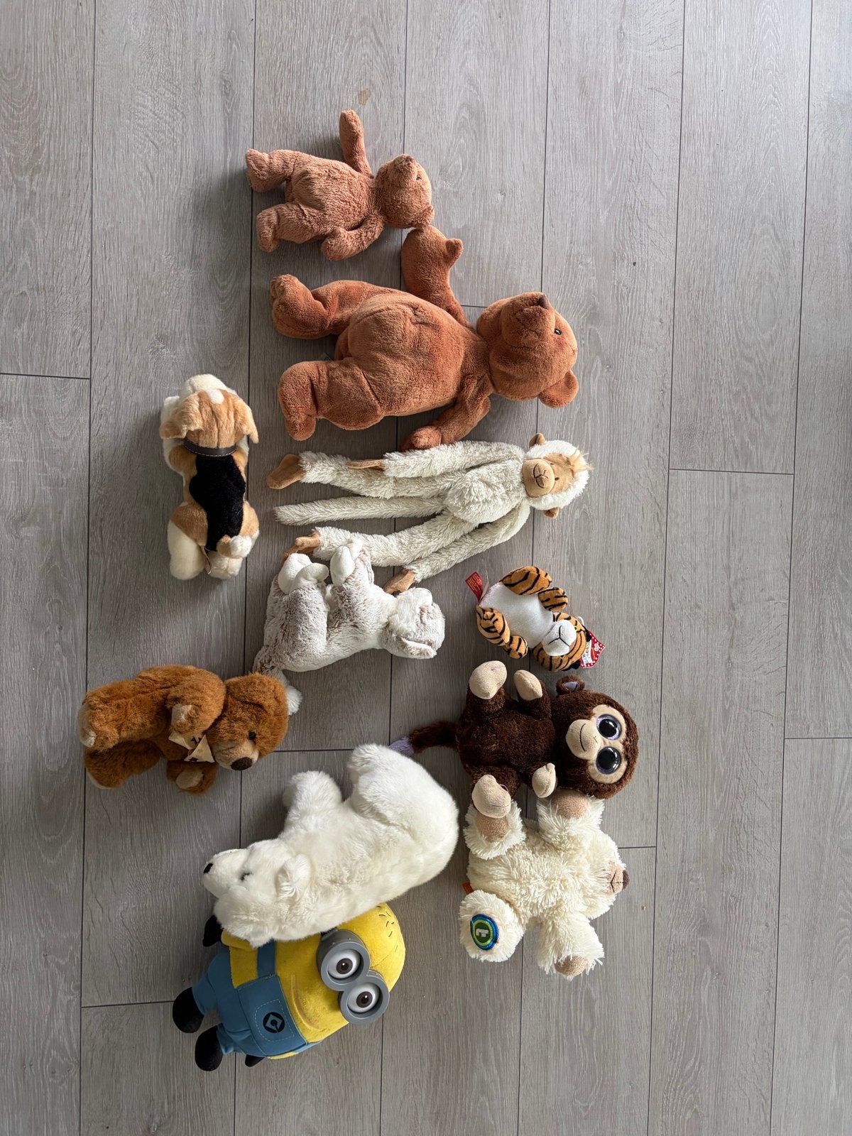 Diverse Knuffels: Beren, Hond, Aap, Tijger, Minion en meer!, Ophalen, Gebruikt, Overige merken, Overige karakters