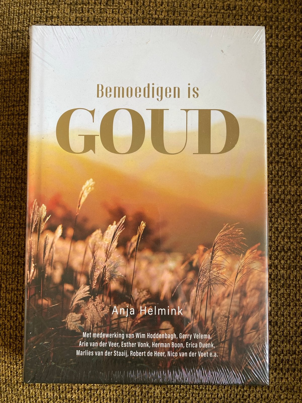 Anja Helmink - Bemoedigen is Goud (nieuw), Ophalen of Verzenden, Nieuw, Anja Helmink