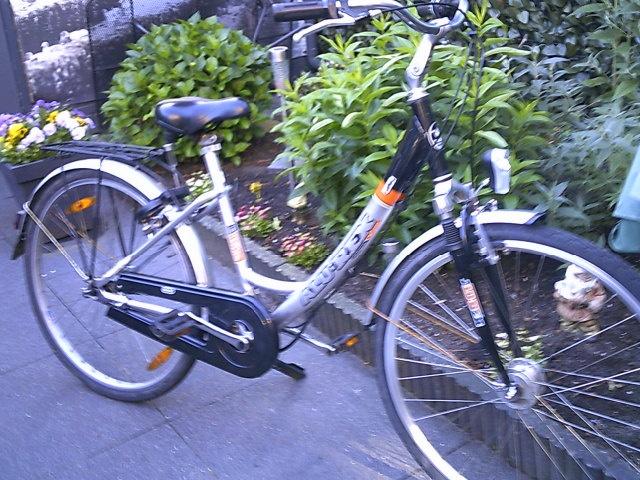 Damesfiets Alurex, Gebruikt, 47 tot 50 cm, Versnellingen, Ophalen