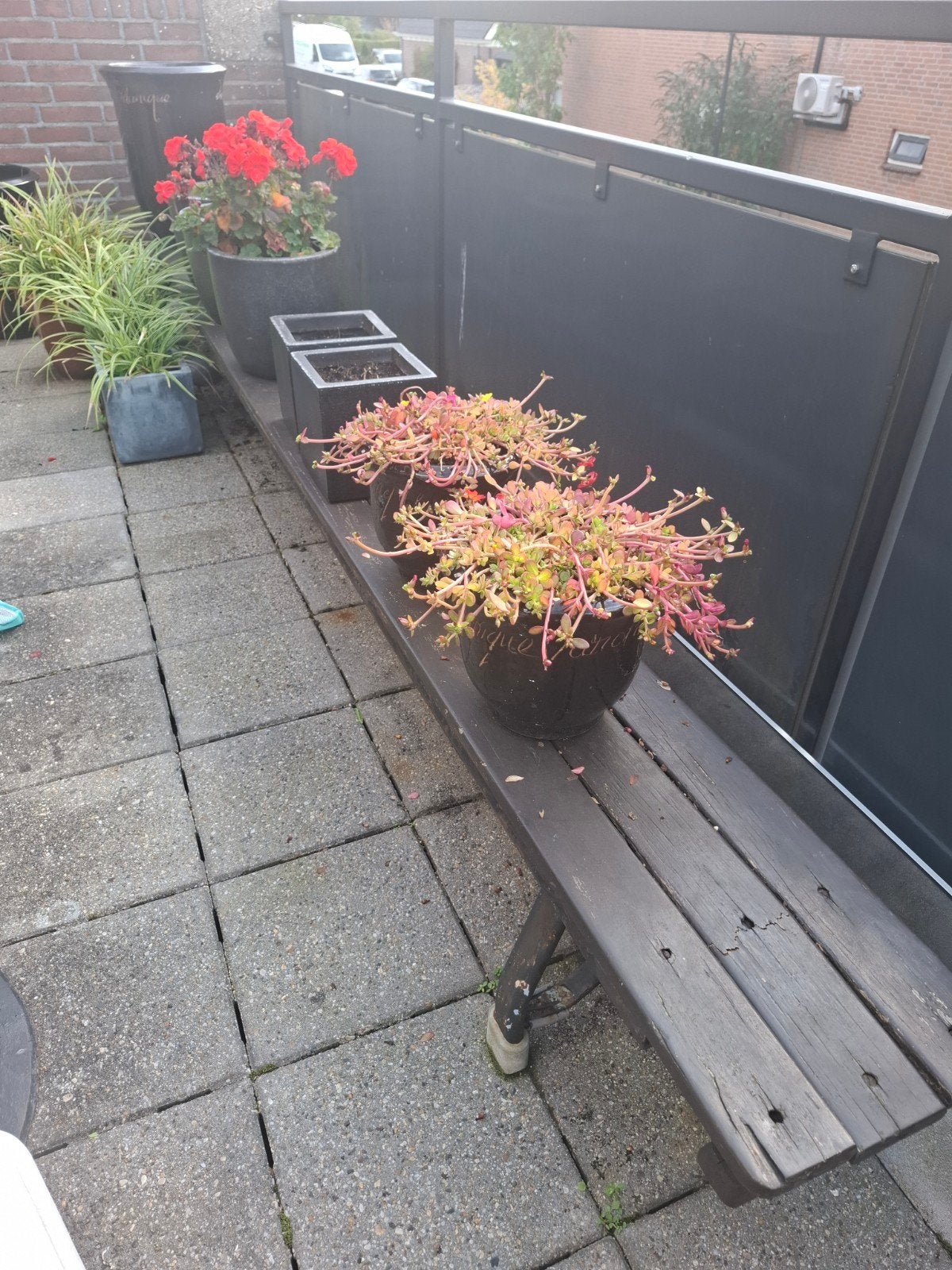 oude bank uit gymlokaal, Ophalen, Gebruikt, Hout