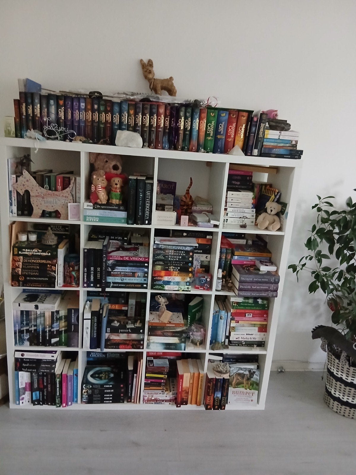 IKEA Kallax kast - 16 vakken, Gebruikt, 150 tot 200 cm, Ophalen of Verzenden, 150 tot 200 cm