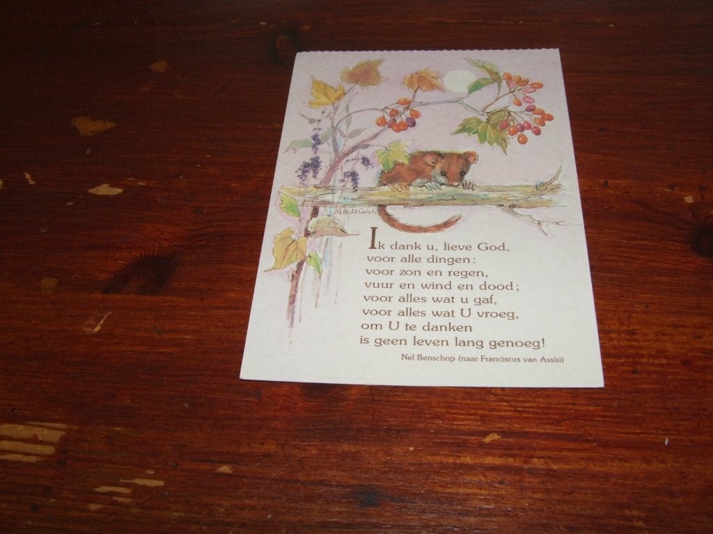 A53- Ansichtkaart Nel Benschop - Ik dank u, lieve God, Gebruikt, Verzenden, 1980 tot heden, Dier