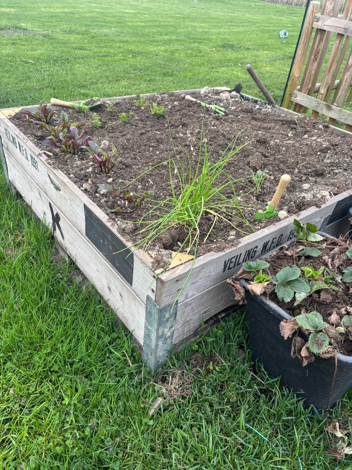 Moestuinbak of opslagbak, Tuin en Terras, Bloembakken en Plantenbakken, Ophalen, 100 cm of meer, Zo goed als nieuw, Rechthoekig