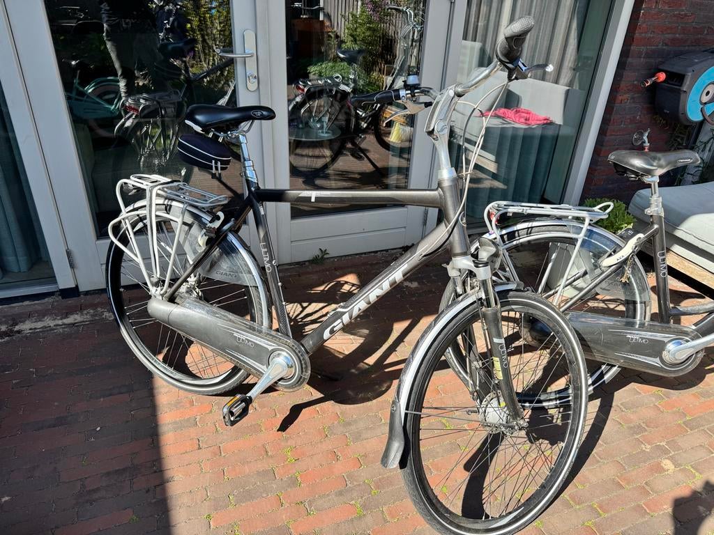 Giant Damesfiets en Herenfiets, Ophalen, Gebruikt, Velgrem, Versnellingen