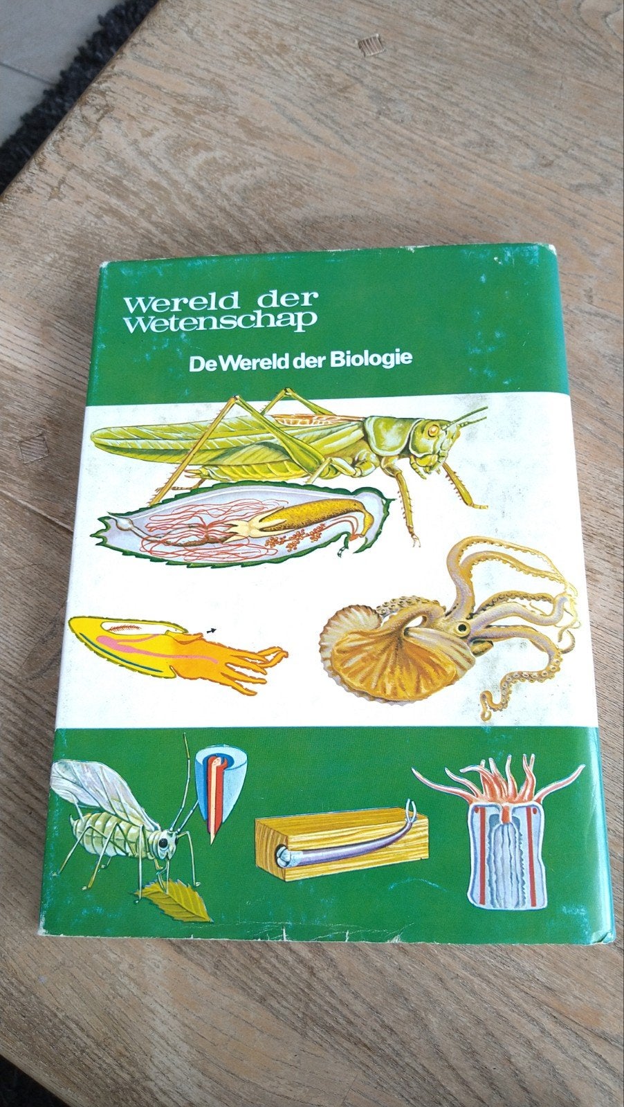 Het leven der ongewervelde dieren zoologie biologie, Boeken, Ophalen of Verzenden