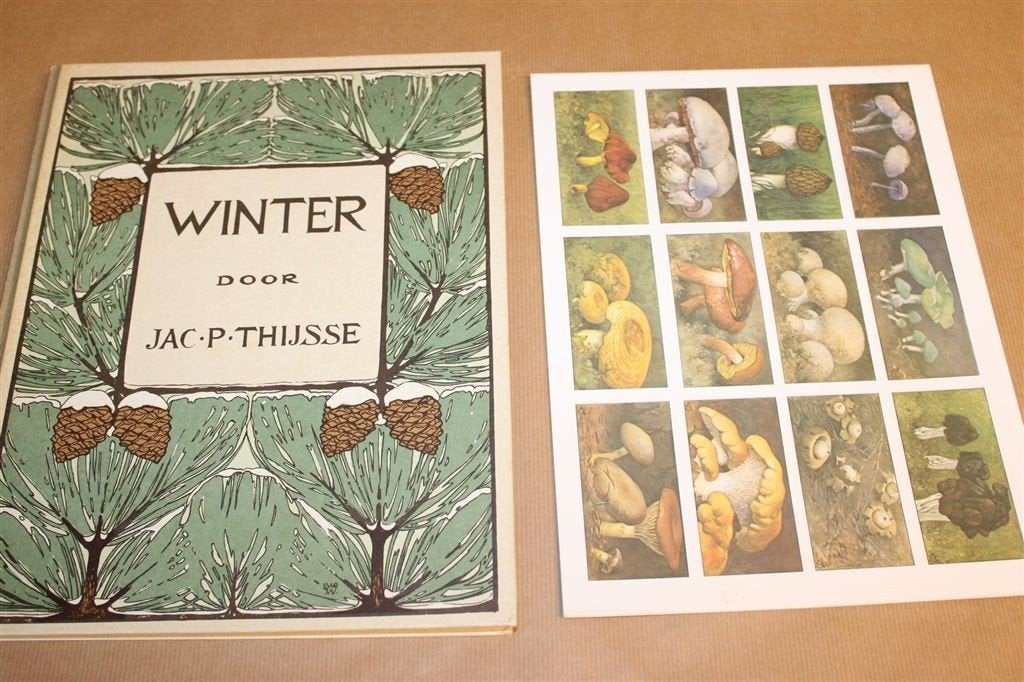 Winter — Jac P. Thijsse — Heruitgave van 1919 + Plaatjesvel, Boeken, Prentenboeken en Plaatjesalbums, Ophalen of Verzenden, Gelezen