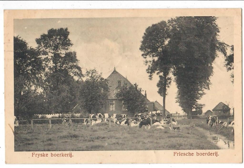 Fryske boerkerij, Verzenden, Voor 1920, Gelopen, Friesland