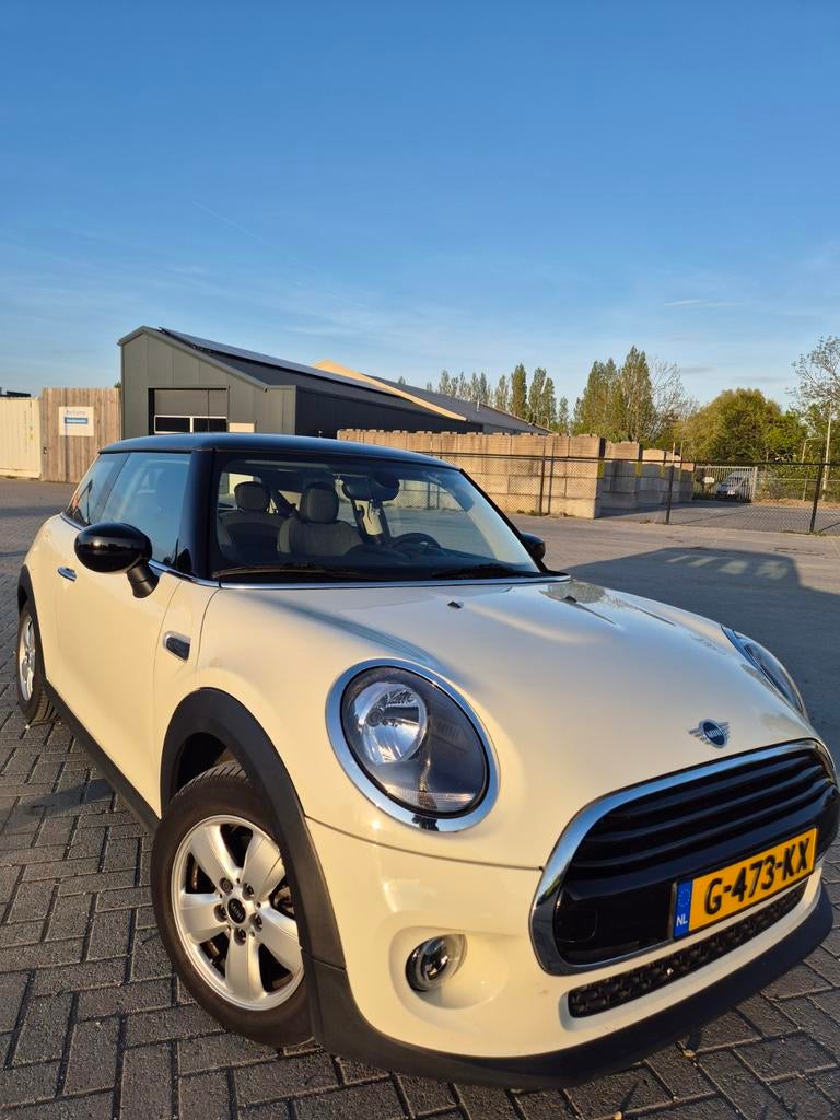 Mini Cooper 1.5 Benzine (2019) | 31.400 km | CarPlay | Cruis, Auto's, Mini, Voorwielaandrijving, 136 pk, 4 stoelen, Origineel Nederlands