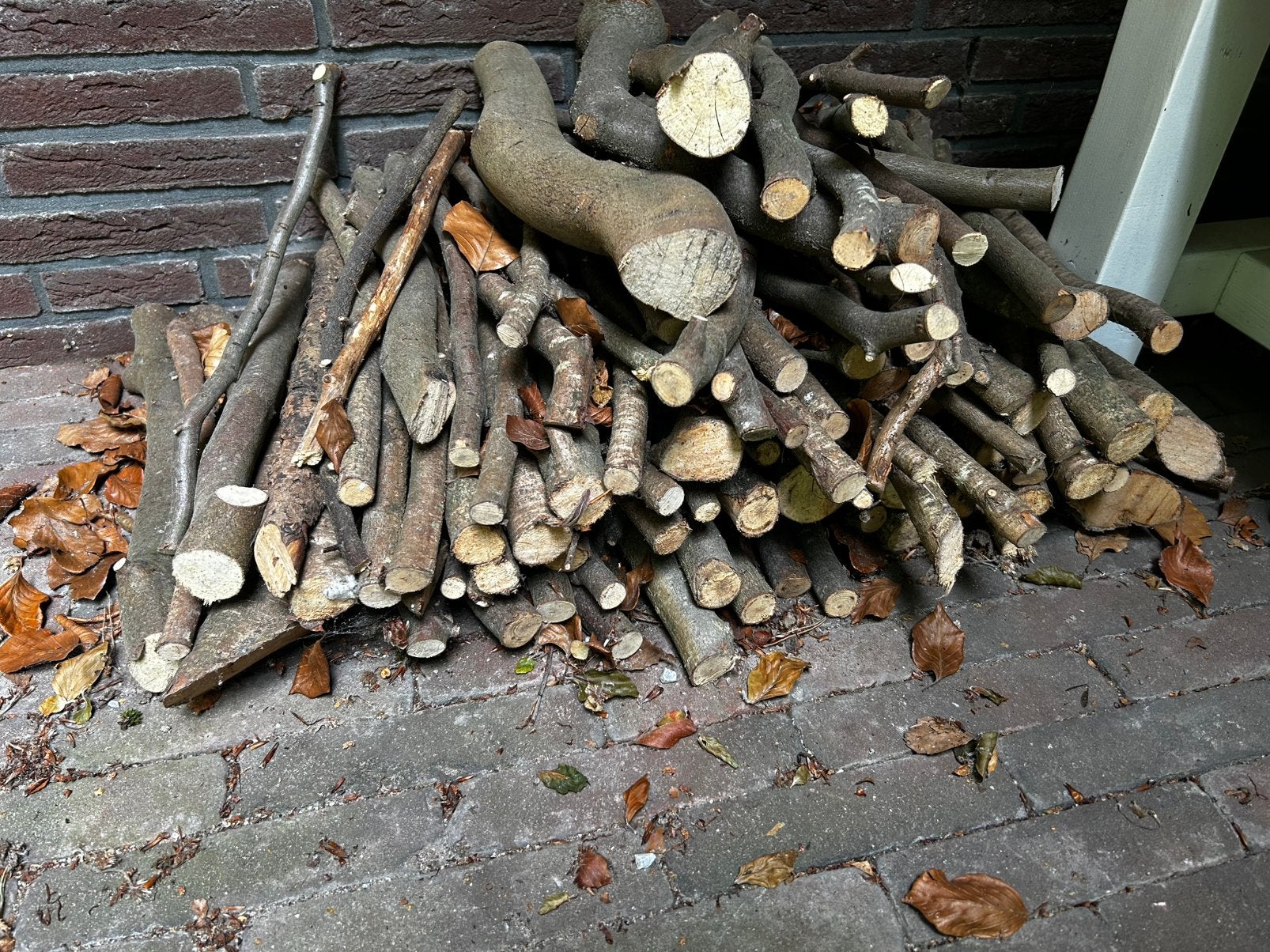 Takken beuken hout, Ophalen, Kooi-accessoires