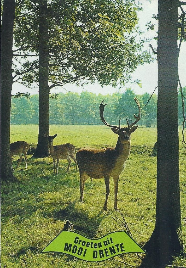 Drenthe Dier en Natuur Ansichtkaart ( A108 ), Ophalen of Verzenden, 1980 tot heden, Gelopen, Drenthe