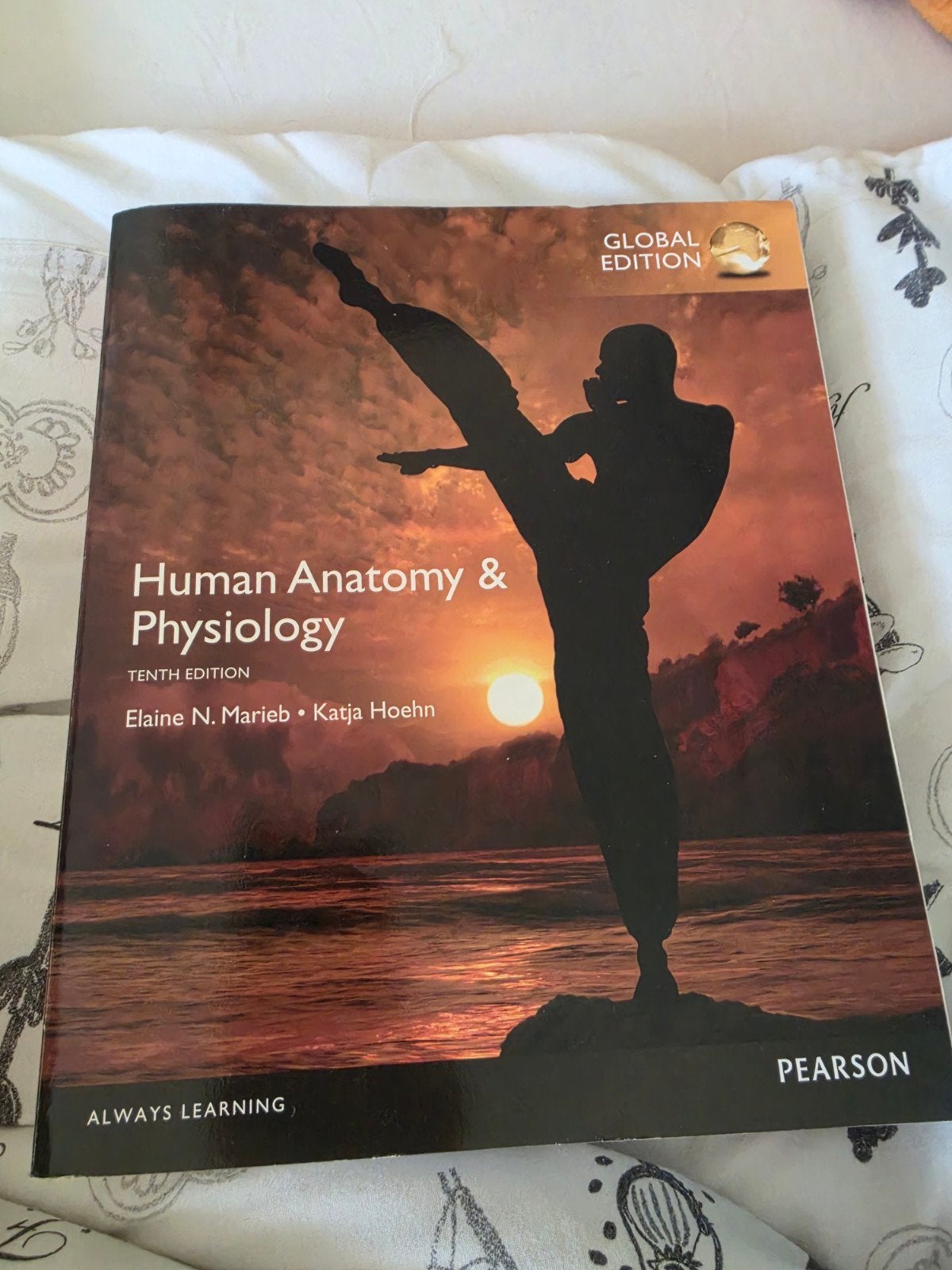 Human Anatomy & Physiology - Tiende Editie, Elaine N. Marieb, Katja Hoehn, Zo goed als nieuw, Beta, HBO