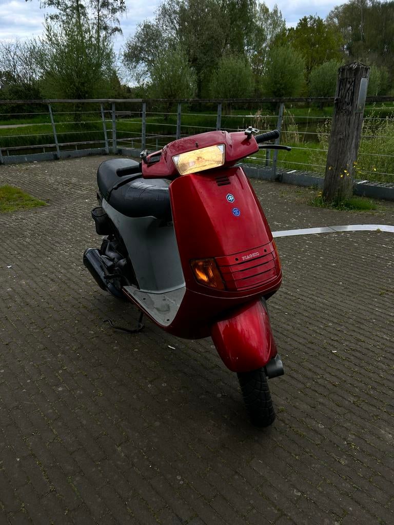 Piaggio Skipper 125cc, Ophalen, Gebruikt, Overige modellen, Maximaal 45 km/u