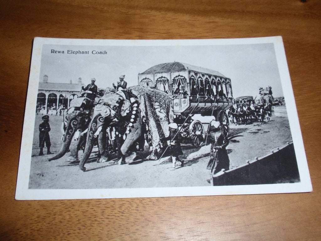 Olifant processie Rewa Elephant Coach  India, Verzamelen, Ansichtkaarten | Buitenland, Verzenden, 1940 tot 1960, Ongelopen, Buiten Europa