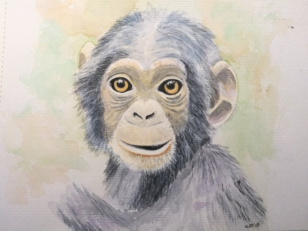Aquarel Chimpansee ( 25 x 19,5 cm.), Huis en Inrichting, Woonaccessoires | Schilderijen, Tekeningen en Foto's, Ophalen, Minder dan 50 cm