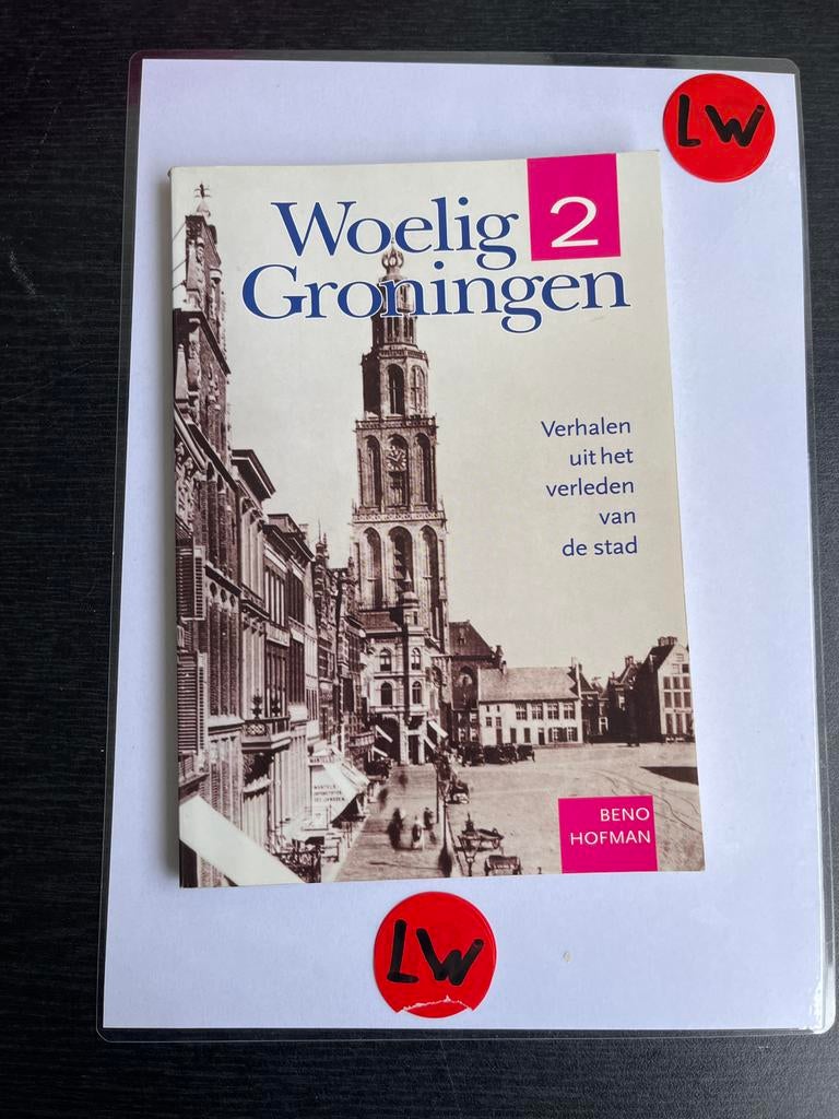 Woelig Groningen 2: Verhalen uit het verleden van de stad, Boeken, Geschiedenis | Stad en Regio, Ophalen of Verzenden, 20e eeuw of later