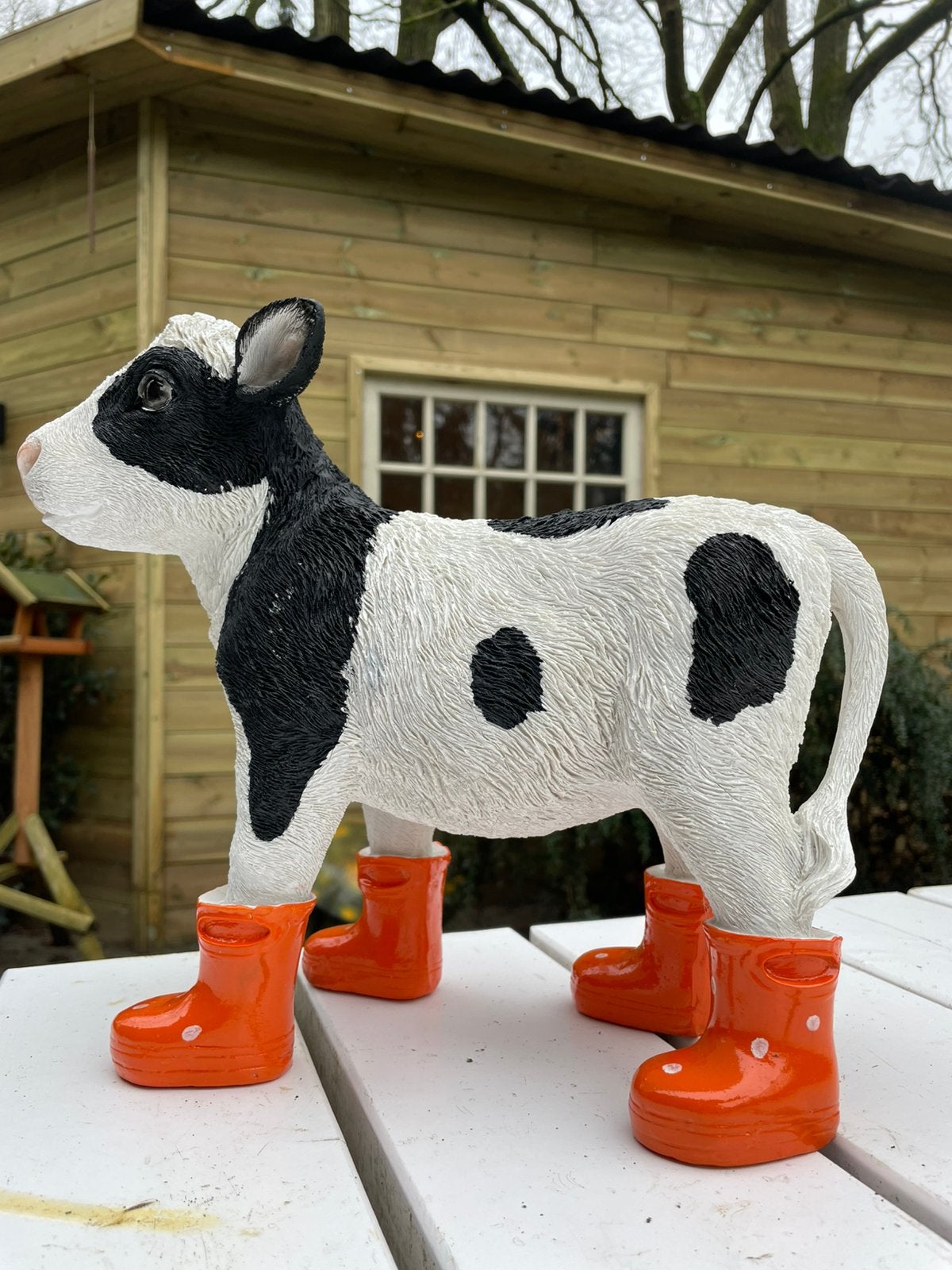 Kalf oranje regenlaarsjes beeld tuin boerderij boer stal, Ophalen, Nieuw, Kunststof, Dierenbeeld