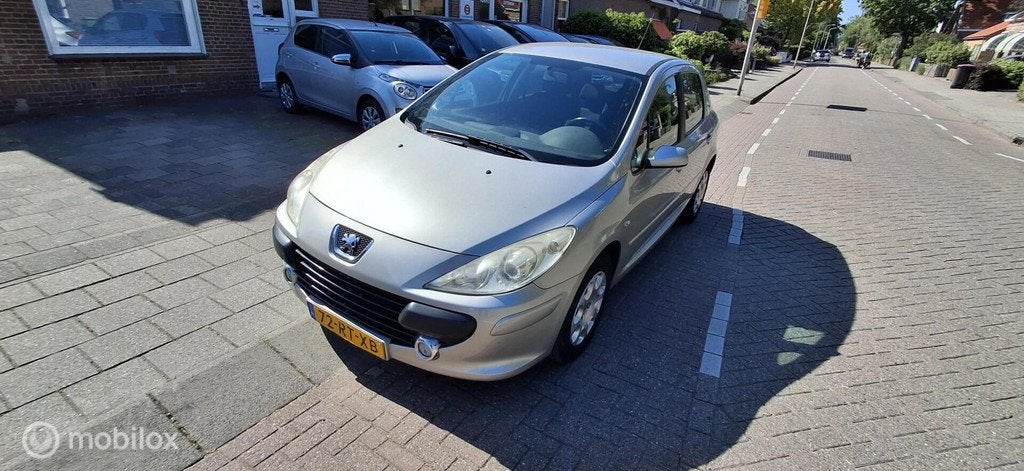 Peugeot 307 1.6-16V XS, Auto's, Peugeot, Voorwielaandrijving, Gebruikt, 4 cilinders, 635 kg