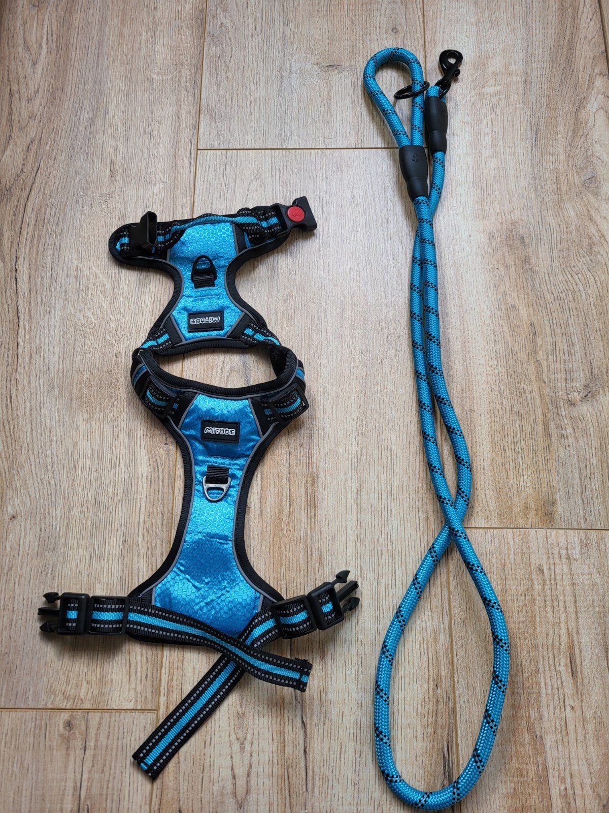 nieuwe hondentuig maat M en bijpassende halsband, Ophalen of Verzenden, Nieuw, Halsband
