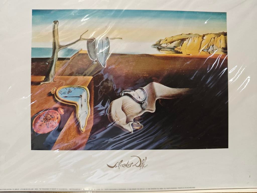 Salvador Dali Prent, Ophalen of Verzenden
