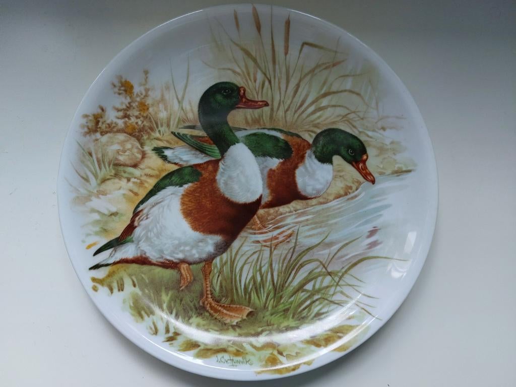Royal Schwabap Wandbord met Eenden, Antiek en Kunst, Antiek | Wandborden en Tegels, Ophalen of Verzenden