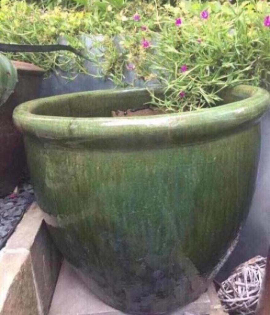 Grote prachtige geglazuurde groene bloempot 60cm, 40 cm of meer, Rond, Ophalen of Verzenden, Zo goed als nieuw