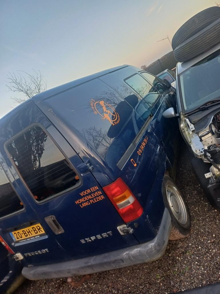 Peugeot expert 1.9d voor onderdelen, Ophalen of Verzenden, Peugeot