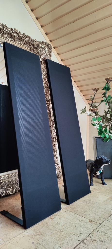 Magnepan LRS+ Quasi Ribbon Dipool - Speaker Black ore White., Audio, Tv en Foto, Overige merken, Nieuw, Ophalen of Verzenden, 120 watt of meer